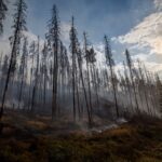 Hradečtí hasiči v Hřensku (Foto: HZS KHK)