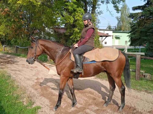 Hradecké želízko ve Velké pardubické: trenér Vítek a Chicname De Cotte