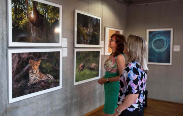 Galerie U Přívozu hostí výstavu Czech Nature Photo 2023