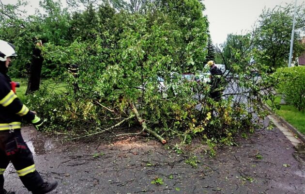 Hasiči likvidovali následky silného větru, který narušil i vysoké napětí