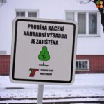 Opravy Slezské Předměstí (Foto: TSHK)