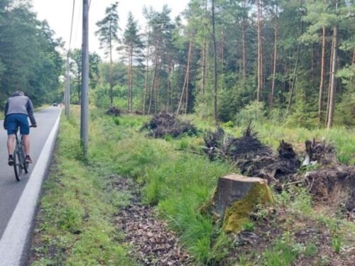 Příští rok konečně začne stavba cyklostezky mezi Zděnou boudou a lesním hřbitovem