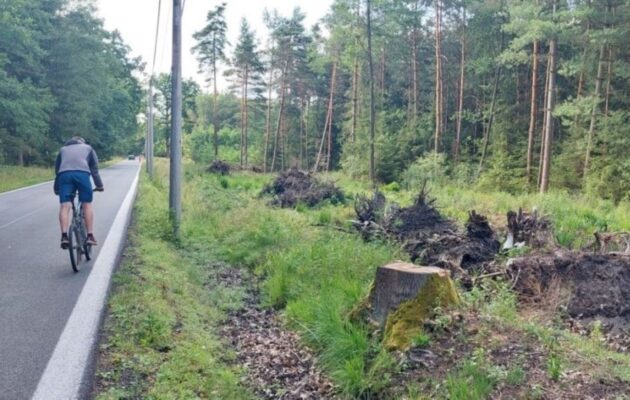 Příští rok konečně začne stavba cyklostezky mezi Zděnou boudou a lesním hřbitovem