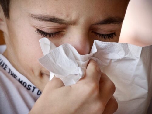 V hradeckém kraji pokračuje epidemie chřipky, ve FN HK platí od úterý omezení návštěv