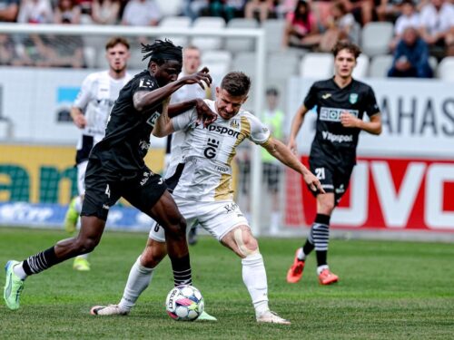 Šťastná ruka trenéra Horejše. Střídající Pilař zajistil Hradci výhru 1:0
